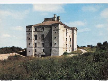 89 CRUZY LE CHATEL LE CHATEAU DE MAULNES