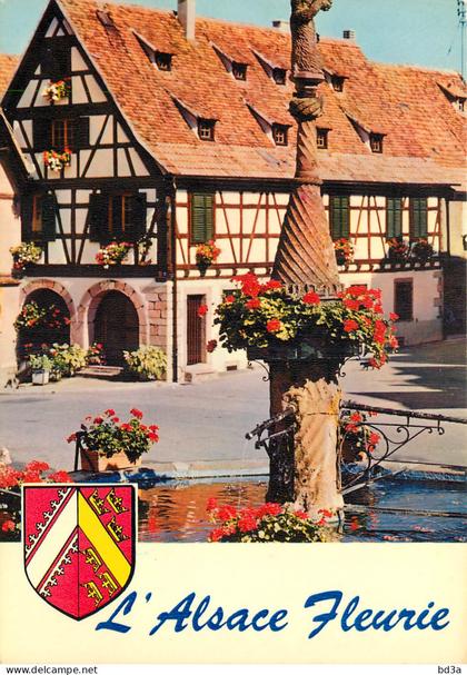 67 - DAMBACH LA VILLE