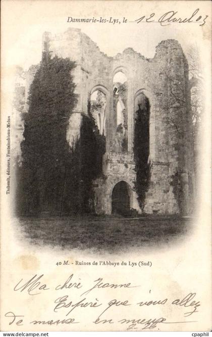 Dammarie les Lys CPA Ruines de l'abbaye du Lys (sud)