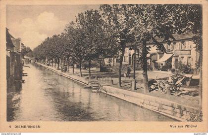 CPA Diemeringen-Vue sur l'eicher-9      L4185
