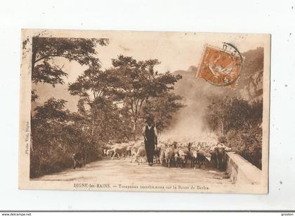DIGNE LES BAINS TROUPEAUX TRANSHUMANS SUR LA ROUTE DE BARLES (BERGER)