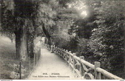Paris - 19 - Une Allee aux Buttes Chaumont - CPA
