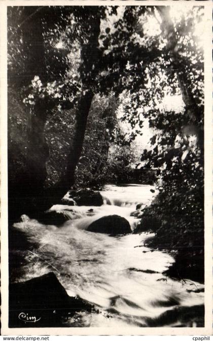 CPA Divonne les Bains La Divonne sous bois