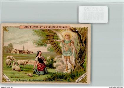 10185659 - Domremy-la-Pucelle