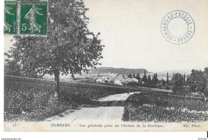 CPA DOMREMY-LA-PUCELLE -chemin de la basilique -circulée 1917 -obl. Greux