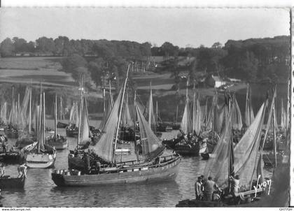 CPA DOUARNENEZ
