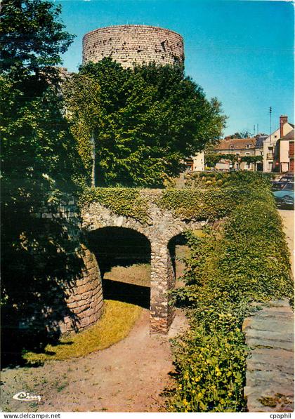 CPM Dourdan (Essonne)Les fosses du Chateau