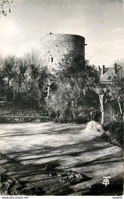 CPM Dourdan S et O Chateau Le Donjon