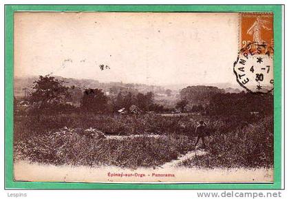 EPINAY sur ORGE --  Panorama