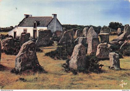 56 ERDEVEN LES ALIGNEMENTS D ERDEVEN