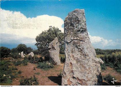 56 - Erdeven - Les alignements de Kerzhero - CPM - Voir Scans Recto-Verso