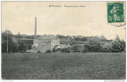 10 - ERVY le CHATEL - prairie