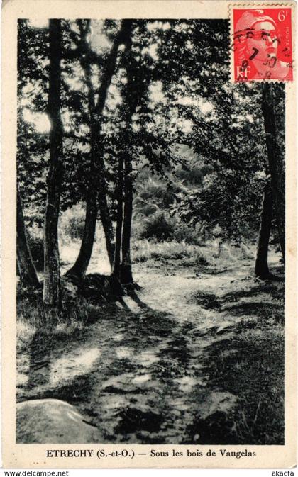 CPA Etrechy Sous les bois de Vaugelas FRANCE (1371788)