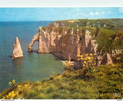 CPM Etretat l'aiguille et la falaise