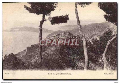 CPA Eze