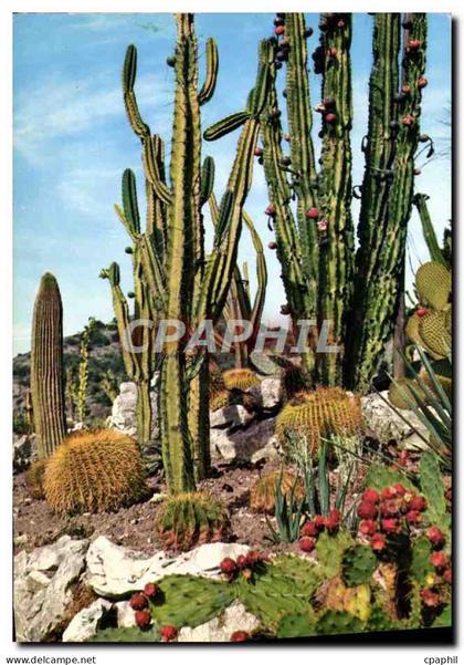 CPM Eze Village Le Jardin exotique