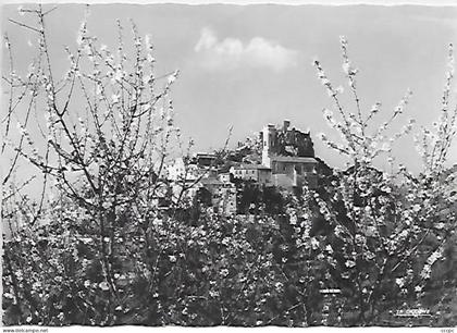 CPSM Eze Le Vieux village d'Eze à travers les amandiers