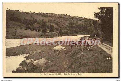CPA Environs de Feurs Les Bords de la Loire