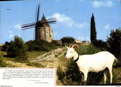 CPM Fontvieille Le Moulin de Daudet Chevre