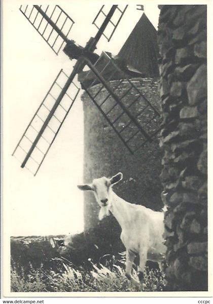 CPSM Fontvieille Le Moulin de Daudet et la Chèvre de Mr Seguin