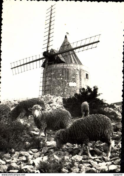 CPSM Le Moulin de a Daudet a Fontvieille