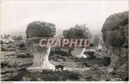 CPA The PROVENCE FORCALQUIER(e.a).Rohes des Mourres