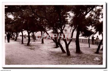 Fouras les Bains - Les Sepinettes - CPA