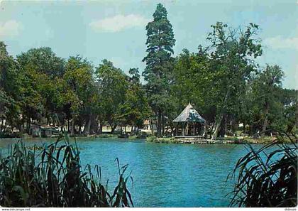 93 - Gagny - Le Lac - CPM - Voir Scans Recto-Verso