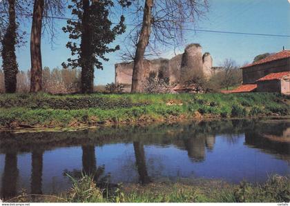86-GENCAY-LE CHATEAU DE GENCAY-N°7015-C/0317
