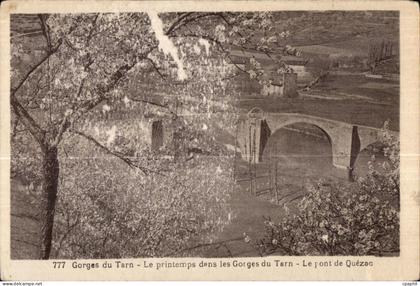 CPA Gorges de Tarn Le printemps dans les Gorges du Tarn Le pont de Quezac