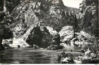 CPM Les Gorges du Tarn Pas de Soucy
