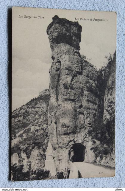 les gorges du Tarn, les rochers de Pougnadoire, Lozère 48