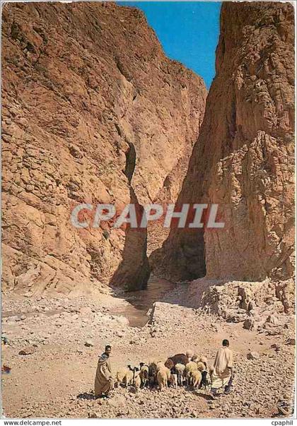 CPM Les Gorges du Todra