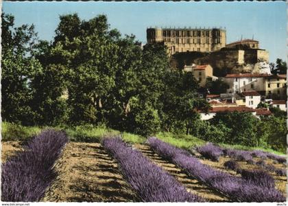 CPM GRIGNAN Le Chateau (1089834)