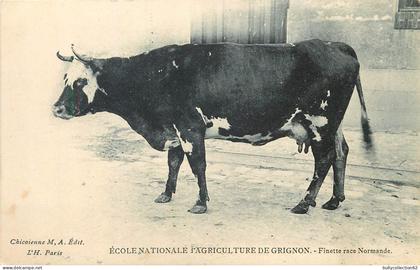 CPA Grignon  78/199