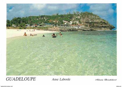 Carte Postale - Guadeloupe - Anse Bertrand - Anse Laborde - Plage - CPM - Carte Neuve - Voir Scans Recto-Verso - Poscard