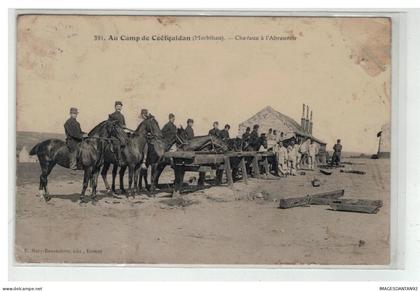 56 GUER COETQUIDAN CAMP CHEVAUX A L ABREUVOIR