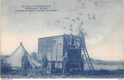 Camp de COETQUIDAN - Colombophilie militaire - au signal, les pigeons reviennet au colombier