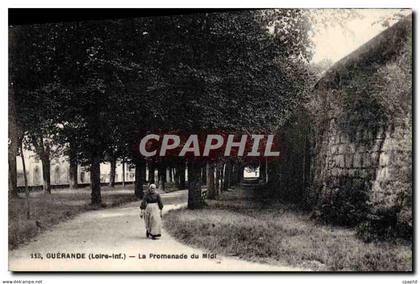 CPA Guerande La Promenade du Midi