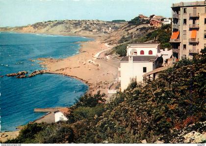 CPM Reflets de la Cote Basque Guethary Les deux Palges Guethary Bidart