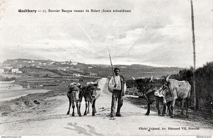 D64 - GUETHARY < BOUVIER BASQUE VENANT DE BIDART