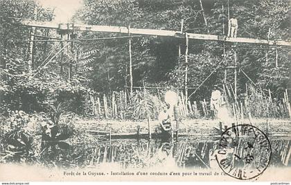Guyane - Forêt de la Guyane - Installation d'une conduite d'eau pour le travail de l'or - Ed. Bruère-Dawson - La Conscie