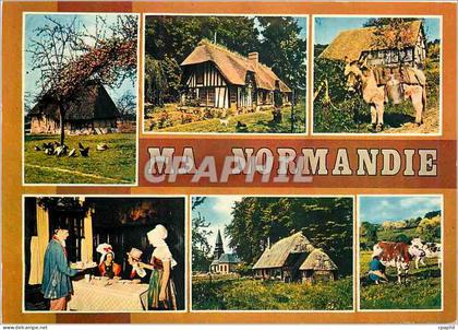 CPM Normandie Charmes et couleurs d'une Province heureuse