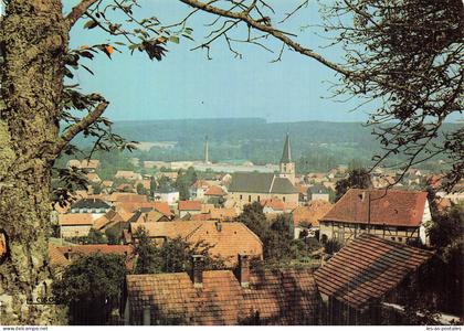 68 HIRSINGUE VUE GENERALE