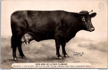 CPA  -  SELECTION  - HONDSHOOTE - Herd Book de la race Flamande
