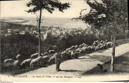 CPA Houlgate La Route de Villers et Vue sur Houlgate Berger et moutons