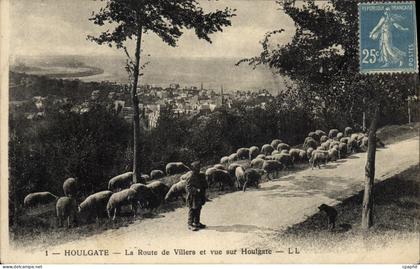 CPA Houlgate La Route de Villers et Vue sur Houlgate Berger et moutons
