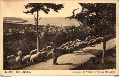 CPA Houlgate La route de Villers et vue sur Houlgate ( berger moutons )