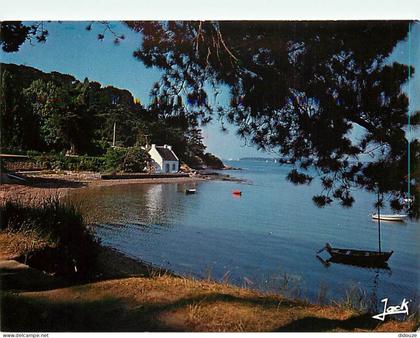 Carte Postale - 56 - Ile aux Moines - CPM - Voir Scans Recto-Verso - Poscard - Carta Postal -  Postkarte