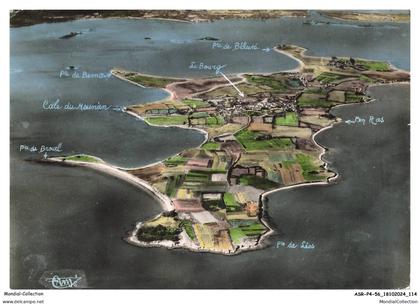 ASRP4-0231-56 - ILE-D'ARZ - Vue aérienne de l'ile d'arz